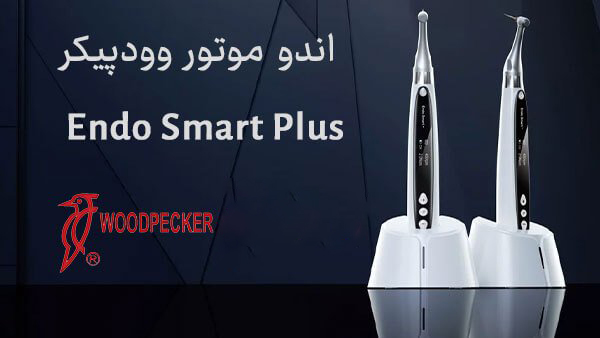 روتاری بیسیم وودپیکر مدل اندو اسمارت پلاس Endo Smart Plus